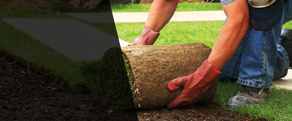 Saint Albans Landscapers